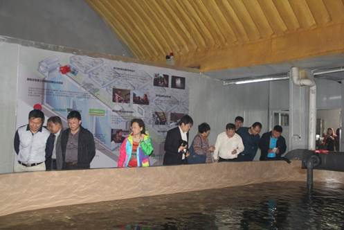 qingdaozhengxie2.jpg qingdaozhengxie2.jpg