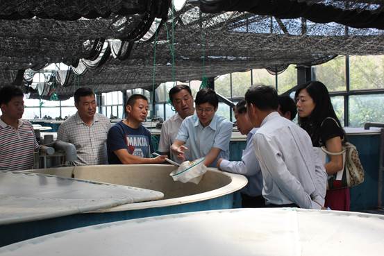 guanxinongye1.jpg guanxinongye1.jpg
